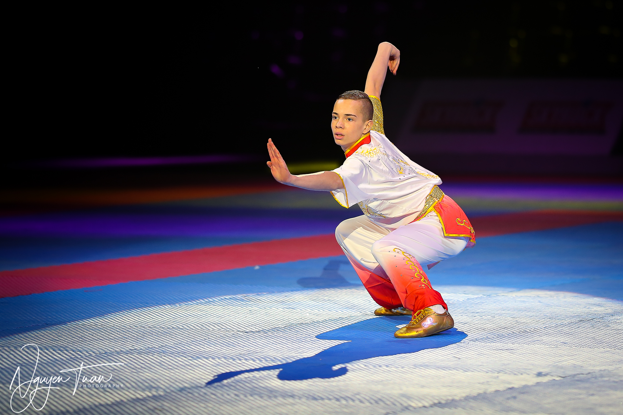 20190324 Festival des Arts Martiaux 1286